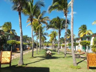 Be Live Turquesa ****