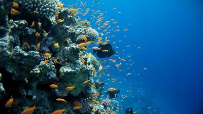 Letos podruhé, opět skvělé