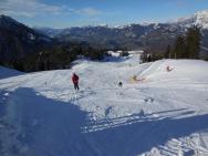 Perfektní lyžování