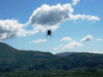 obrovská spokojenost