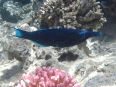 Nejkrásnějšííí dovolená vůbec.