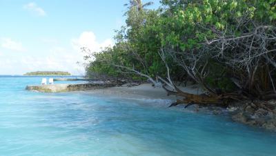 Ráj,ráj a zase ráj