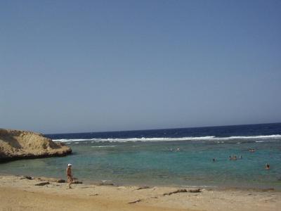 Příjemně strávený čas mezi rybičkami