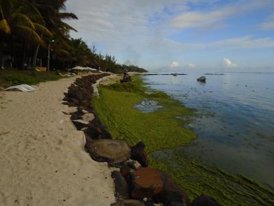 Pláž u hotelu Le Surcouf Hotel & Spa ***