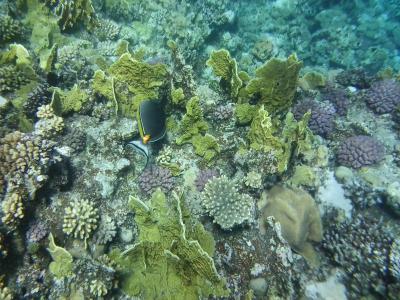 Byli jsme tam již potřetí.