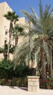 Prehliadka hotela Madinat Jumeirah Resort ***** 