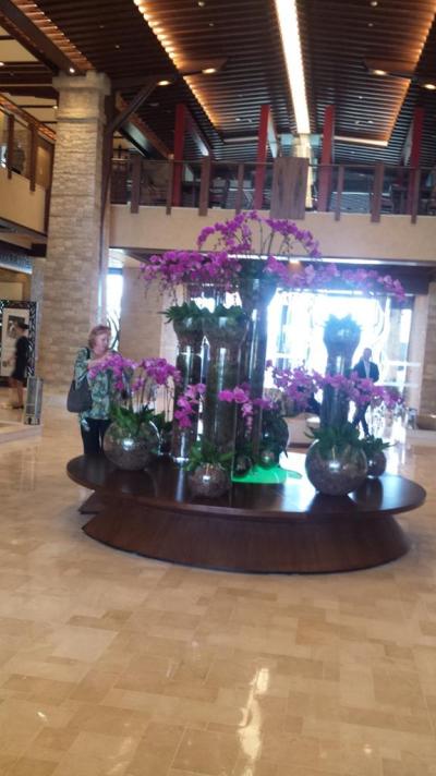 Prehliadka hotela Sofitel The Palm *****