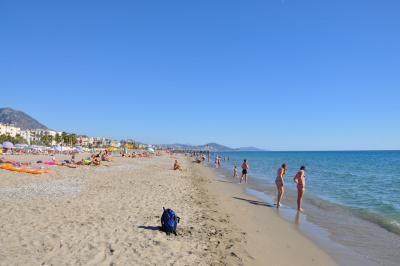 Spokojenost v Krizantemu