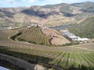 vinice v údolí řeky Douro
100 km od Porta