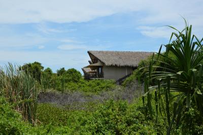 Prohlídka hotelu Jungle Beach Resort