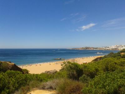 Auramar Beach Resort