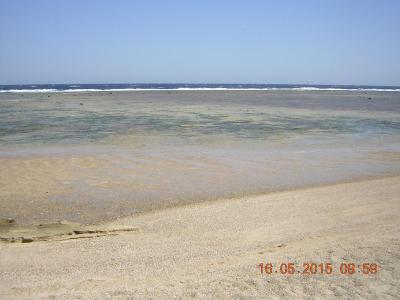 Žádné nadšení, ale ani neurazí  !!!!