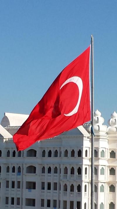 Nejkrásnější z narcisů