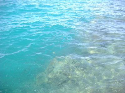 Skvělé na šnorchlování