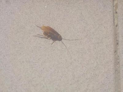 Nejhorsi dovolena vsech dob i s delegatkou Blankou