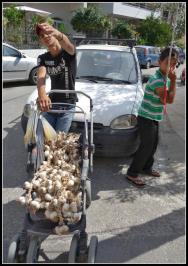 ...kluk s česnekem...trhy Ierapetra...:)
