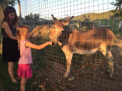 Průměrná dovolená....krásný ostrov