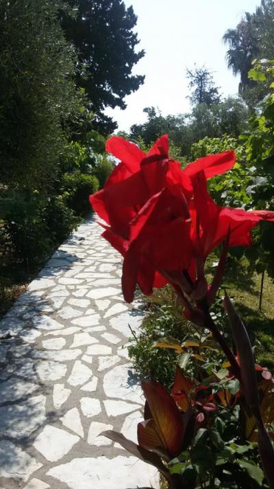 Lefkada_Nidri_Akti Beach_2015