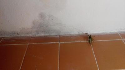 Tady už nikdy nee!!!