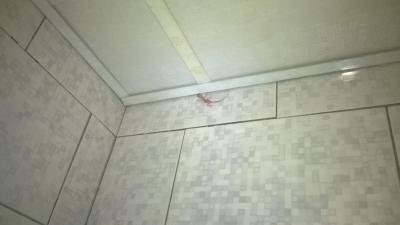 Průměrná dovolená.