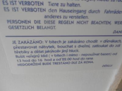 Co o ro  Bibione  , italzerisio