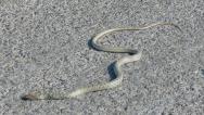 had na cestě
