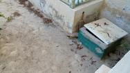 páchnoucí septik přímo pod balkonem