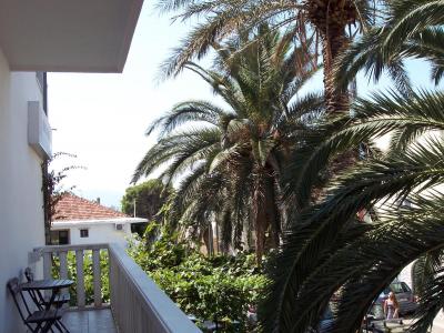 penzion Palme Drveník