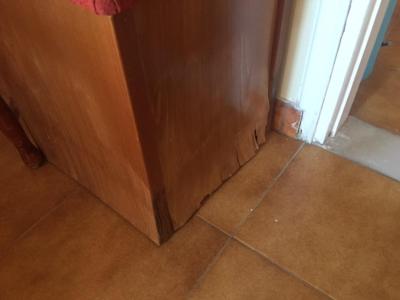 Děkuji, ale radši už nikdy více