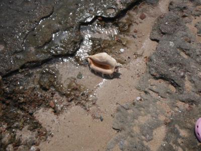 Velmi dobrá dovolená