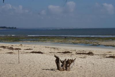 Diamonds Dream of Africa Malindi