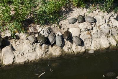 Báječná dovolená