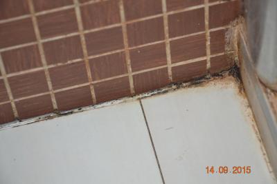 Hotel Gaudio néééééééééééééééééééééééééééééééééééééééé