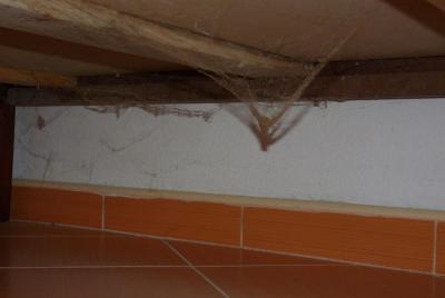 Pobyt v Černé Hoře - Perast - apatrmán Jovanovič