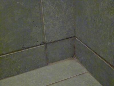 Černá Hora s CK ******