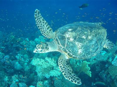 Krásná dovolená, super moře