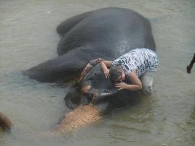 J hotel a Srí Lanka