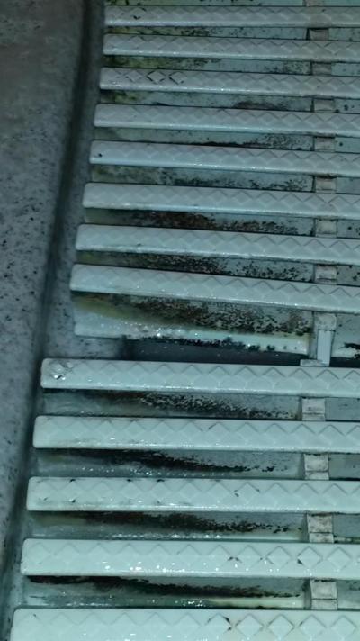 ZA NAS TAKE NEDOPORUCUJI