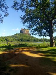 Kousek od hotelu se člověk může kochat nádherným pohledem na Lví skálu- Sigiriyu