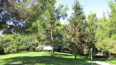 Euphoria Tekirova Kemer