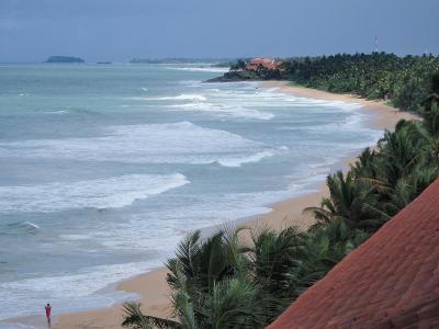 Recenze hotelu Pandanus Beach