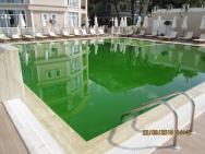 Totálně zelená voda v bazénu
