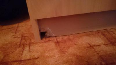 Never again, nevermore - Nikdy znovu a nikdy více apartmán 2.kategorie J3/15