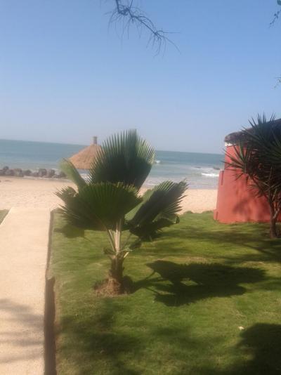 Pozitiva převažují