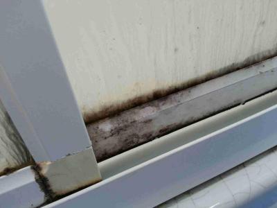 Plíseň. Špína. Předraženost. Arogance.