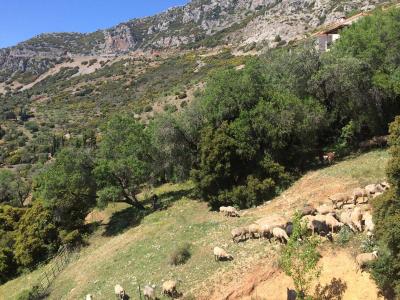 Krásný horský hotel