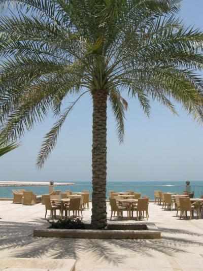 Dovolená v Emirátech s rodinou