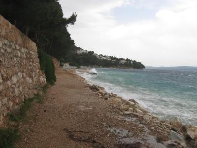 VILA RODIČ ČERVEN 2016