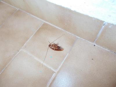 Ht. Blue Sky apartmány Dafnis