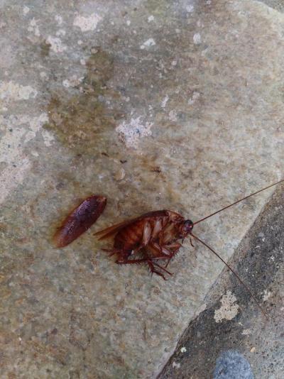 Hotel Blue Sky Beach